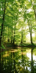 Peaceful forest scene with sunlight filtering through green leaves and reflecting on a tranquil pond, creating a serene and calming atmosphere, pond, peaceful