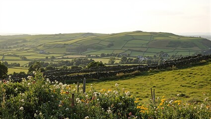 Obraz premium Tranquil English countryside with green hills stone walls wildflowers and summer sky