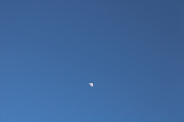 daytime moon sighting in a clear sky