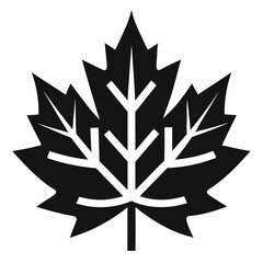 Fototapeta premium silhouette of leaf maple leaf black and white vector 