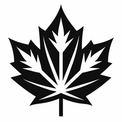 silhouette of leaf  maple leaf black and white vector 