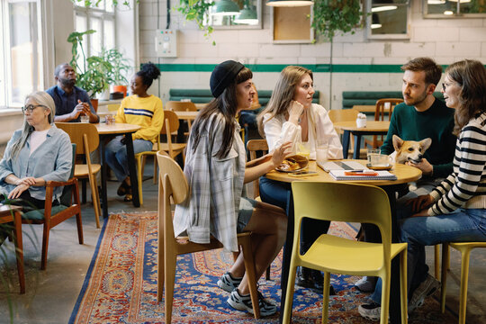 Different companies of multiethnic people resting in cafe