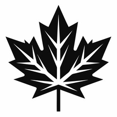 silhouette of leaf  maple leaf black and white vector 
