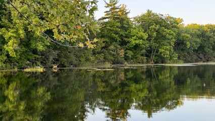 Fototapeta premium Lakeside forest reflected in tranquil lake in late summer