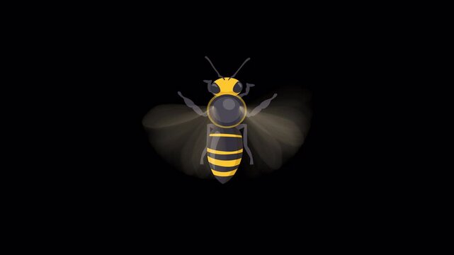 Bee flying Animation with transparent background top view
