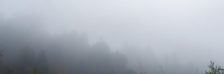 Thick fog covering dense forest with muted colors and soft lighting, tranquil, moody, serene