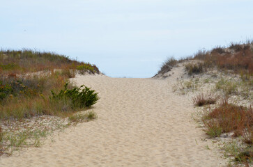 Sand path through dunes to beach