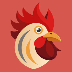 rooster isolated on white background