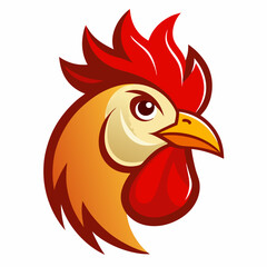 rooster isolated on white background