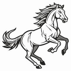 horse illustration