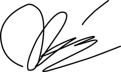 signature vector design in Doodle style. signature illustration