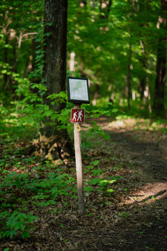Hiking trail signpost in a forest
