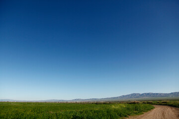 Obraz premium Green field and cloudless blue sky and mountains at the end
