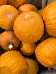 pumpkins in a basket in a store