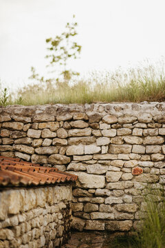 Stone wall and steps in a rustic garden