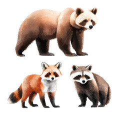 Watercolor painting of a brown bear, red panda, and raccoon. Perfect for nature and wildlife-themed designs. isolated PNG transparent background.