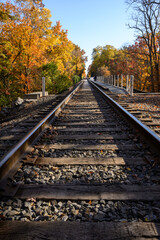 Railway track leading through vibrant autumn foliage in a peaceful wooded area, with a distant figure walking along the path in the warm afternoon light
