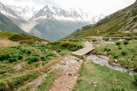 landscape with chamois  in the French Alps