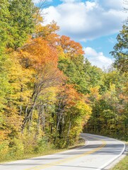 Obraz premium Autumn Road Through Colorful Forest