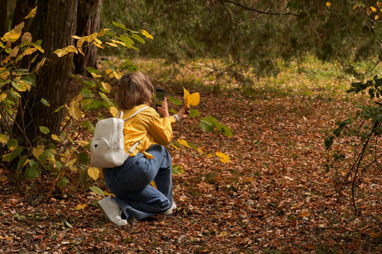 Mobile photography on smartphone camera in the genre of street photography. Girl taking photos on phone in autumn park.