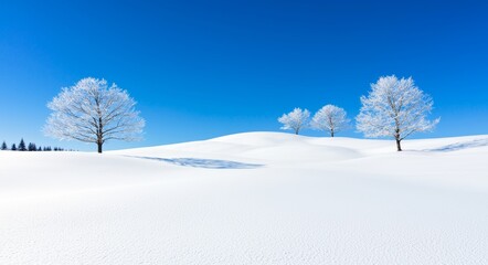 Obraz premium Winter landscape, trail in the snow from winter sports on an abstract defocus light background