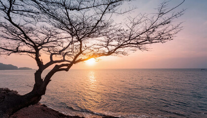 A leafless tree stands by the sea against a sunset sky, creating a romantic and peaceful scene 