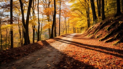 Fototapeta premium Autumn road in the forest with yellow leaves and trees in the background