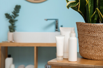 Bath accessories and houseplant on shelf near sink in bathroom