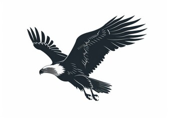 Fototapeta premium Illustration of a black and white painting of an eagle bird