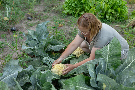woman tries to twist cabbage head