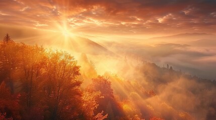 Fototapeta premium Sunrise in autumn foggy scenery