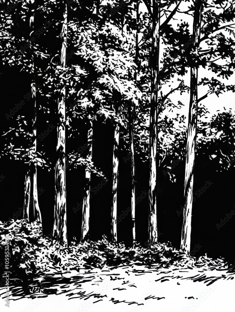 Poster a dense forest showcases intricate tree details with rich shadows, inviting viewers into its captiva