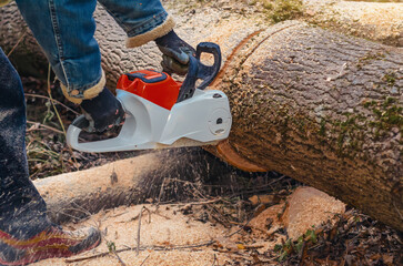 Man in Forest Using Electric Chainsaw on Fallen Tree