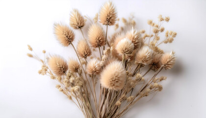Obraz premium A small bouquet of dried flowers in neutral colors, giving a vintage impression.