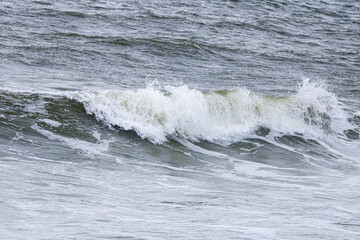 Waves rolling in at high tide on Merritt Island.