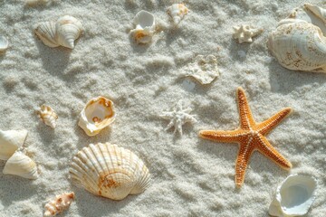 Sunny Beach with Starfish and Seashells in the Foreground, Close-up Detail Generative AI