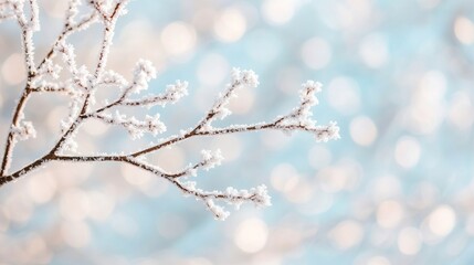 Snowy Background with Subtle Bokeh Effects