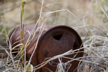 An Old, Rusty Metal Can Nestled among Grass Stems