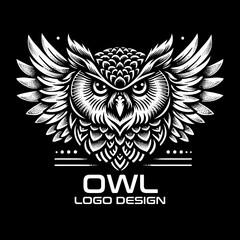 Fototapeta premium Owl Vector Logo Design