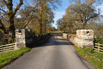 Old medieval bridge in autumn park. Beautiful landscape
