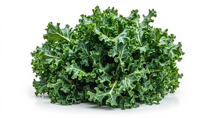 Obraz premium Fresh green kale leaves with dew vibrant color and curly edges