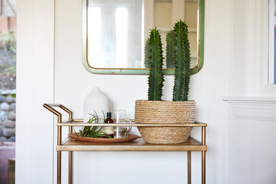Cactus plant and aromatherapy on stand