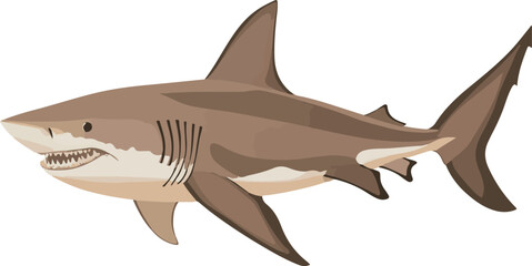 Obraz premium simple vector nurse shark clipart