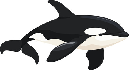 Obraz premium simple vector orca clipart