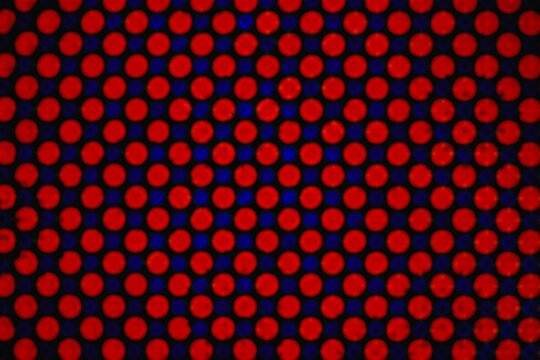 micograph of cell phone screen