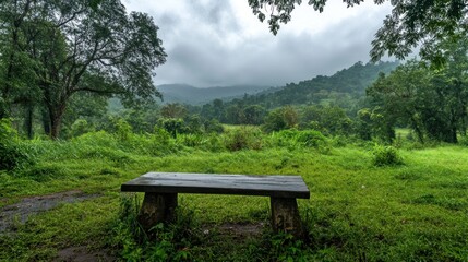 Fototapeta premium A serene wooden bench in a lush green landscape under cloudy skies.