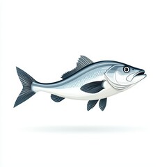 Fototapeta premium Realistic illustration of a fish, white isolated background.