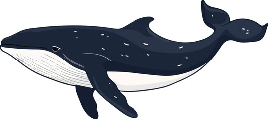 simple vector right whale clipart