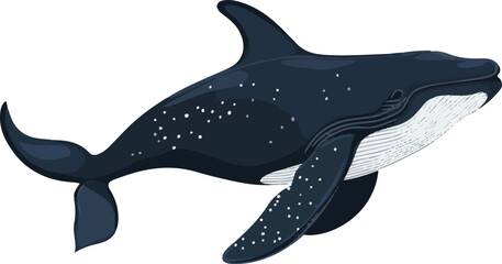 simple vector right whale clipart