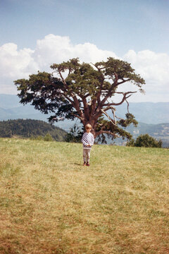 Tree boy